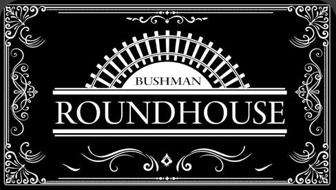 Bushman Roundhouse Harmonica (E) in Kuwait