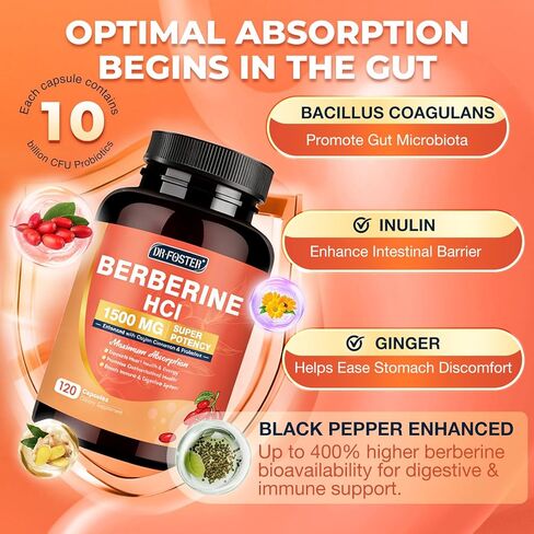 DRFOSTER Berberine HCL 1500mg, Berberine Supplement with Ceylon Cinnamon, Magnesium & Probiotics - Supports Gut Health & Immune System, Non-GMO, 120 Capsules in Kuwait