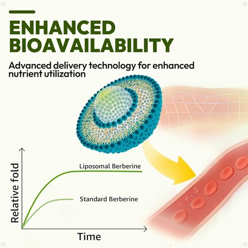Liposomal Berberine 600mg with Bergamot & Ceylon Cinnamon - Advanced Metabolic Signaling Formula - High Absorption (6X) for Nutrient Utilization - 180 Capsules (90-Day Supply) in Kuwait
