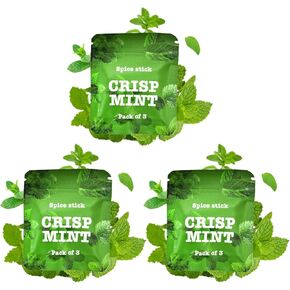 3 عبوات من نوى نكهة النعناع النباتية | 5.5 ملم × 30 ملم | كسر العادات بشكل طبيعي | يناسب موزعات القلائد القياسية | 9 مجموع النوى in Kuwait