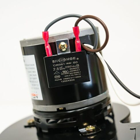 بديل لإنجلندر/PU-4 in Saudi Arabia