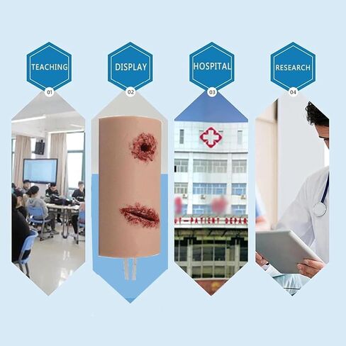 Wound Care Trainer Model, Hemorrhage Control Stop Bleeding Trainer Model, Laceration Wound Packing Trainer Models, Simulates Wound Packing and Tourniquet Trainer for Course First Aid Training in Kuwait