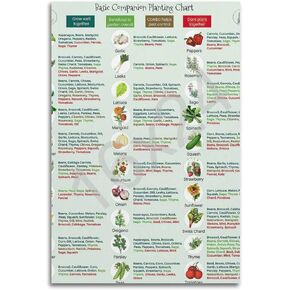 GHJFDF Basic Companion Planting Chart Poster Garden Planting Types Reference Guide Wall Poster for Room Aesthetic Posters 12x18inch(30x45cm) in Kuwait