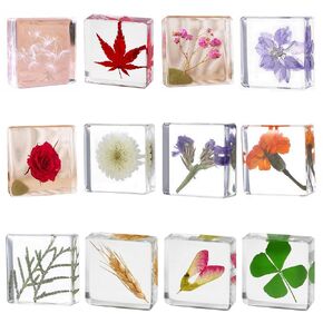 Preserved Flowers, Real Plant Flower Specimens in Resin for Closer-Look & Study in Safe Healthy. Crystal Crafts Decorations. Science Classroom Specimens for Home Office Decor (XS Size 12pcs Plant) in Kuwait