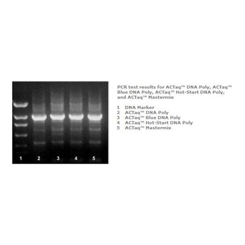E2000-1000U Actaq High Fidelity DNA Polymerase, 1000Units/Vial in Kuwait