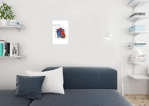 Heart Anatomy Poster Human Cardiac Diagram Educational Chart Cool Wall Art Print Poster 12x18 in Kuwait