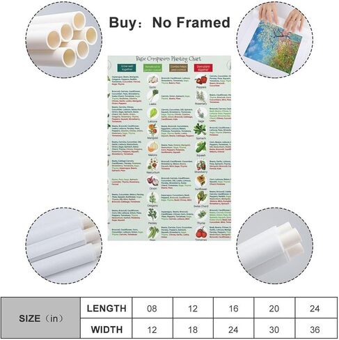 GHJFDF Basic Companion Planting Chart Poster Garden Planting Types Reference Guide Wall Poster for Room Aesthetic Posters 12x18inch(30x45cm) in Kuwait
