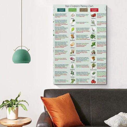 GHJFDF Basic Companion Planting Chart Poster Garden Planting Types Reference Guide Wall Poster for Room Aesthetic Posters 12x18inch(30x45cm) in Kuwait