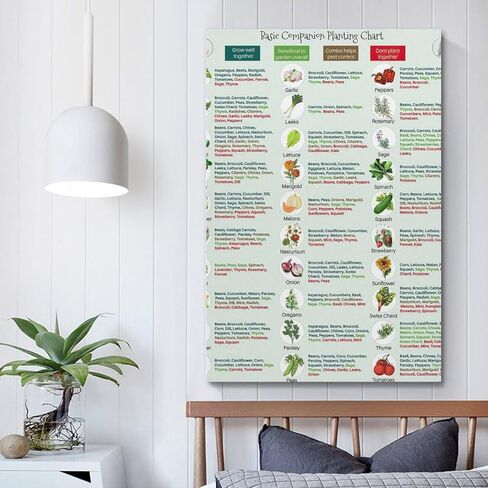 GHJFDF Basic Companion Planting Chart Poster Garden Planting Types Reference Guide Wall Poster for Room Aesthetic Posters 12x18inch(30x45cm) in Kuwait