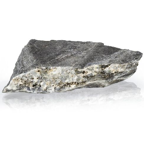 Eisco - Phyllite Metamorphic Rock Specimen 3" Hand Sample Labeled for Geology Classroom Identification and Low-Grade Metamorphism Study in Saudi Arabia