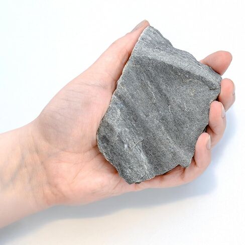 Eisco - Phyllite Metamorphic Rock Specimen 3" Hand Sample Labeled for Geology Classroom Identification and Low-Grade Metamorphism Study in Saudi Arabia