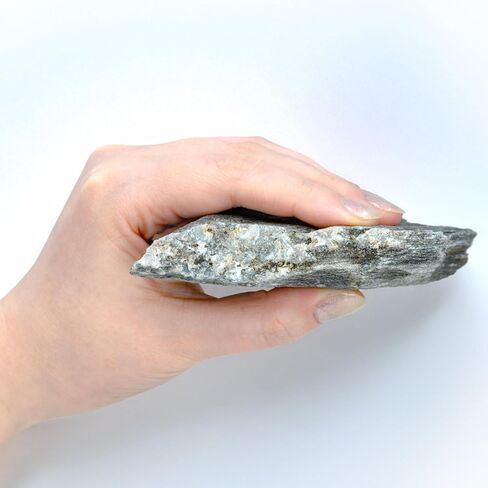 Eisco - Phyllite Metamorphic Rock Specimen 3" Hand Sample Labeled for Geology Classroom Identification and Low-Grade Metamorphism Study in Saudi Arabia