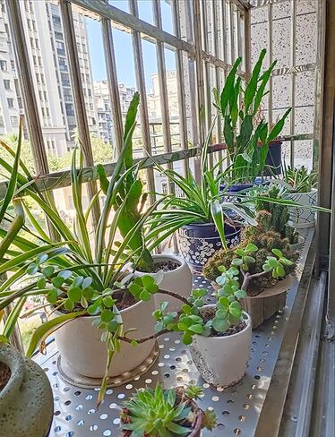 304 Stainless Steel Perforated Sheet Metal Mesh - Decorative Window Guardrail & Flower Stand (50x260cm) - Durable, Corrosion-Resistant, Modern Design in Kuwait