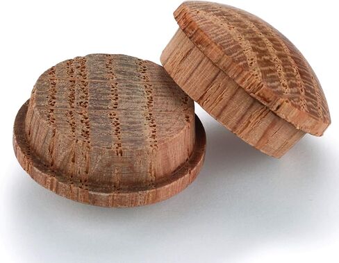Oak Button Top Screw Hole Plugs 1" 4 Pack in Kuwait