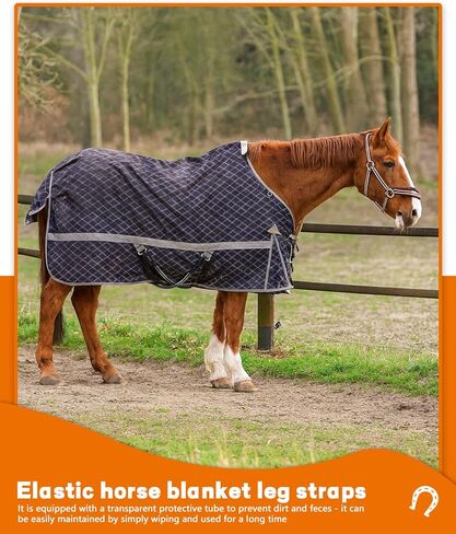 4 قطع من أحزمة ساق بطانية الحصان وحزام ذيل مرن قابل للتعديل، وحزام ذيل سجادة الحصان المطاطي مع مشابك مزدوجة الأطراف in Kuwait