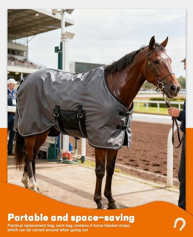 4 قطع من أحزمة ساق بطانية الحصان وحزام ذيل مرن قابل للتعديل، وحزام ذيل سجادة الحصان المطاطي مع مشابك مزدوجة الأطراف in Kuwait