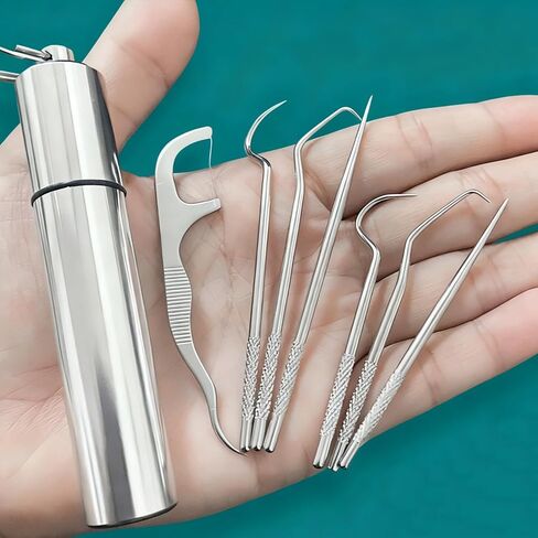 7Pcs Reusable Stainless Steel Toothpick Holders with Portable Storage Case,Multi-Functional Oral Care Cleaning Kit in Saudi Arabia