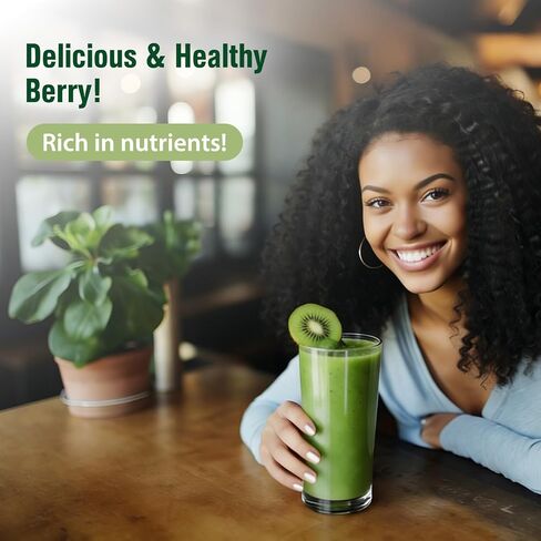 مسحوق سوبر جرينز سوبر فود، مزيج مشروب عصير الخضر مع سبيرولينا، والكلوريلا، والمواد المتكيفة والألياف، والإنزيمات الهاضمة، ومكمل ما قبل + البروبيوتيك للنساء والرجال الانتفاخ وصحة الأمعاء، 30 وجبة in Kuwait