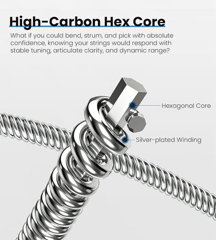 12 String Electric Guitar Strings, Vacuum-Sealed Packing Long Life, Guitar Strings for Electric 12 String Set - Nickel Wound, Durable Ball Ends, Hex Carbon Steel Core, Regular Light, 8-40 in Kuwait