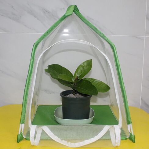 Yosoo Health Gear Observation Cage, House Shaped Gardening Cage with Accessories for Science Education Experiment in Saudi Arabia