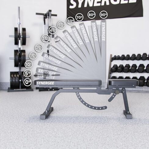 مقعد التمرين المائل القابل للتعديل من Synergee. مقعد رفع الأثقال لتمارين الضغط بالدمبل والحديد. رائعة للاستخدام التجاري والجراج وصالة الألعاب الرياضية المنزلية. in Saudi Arabia