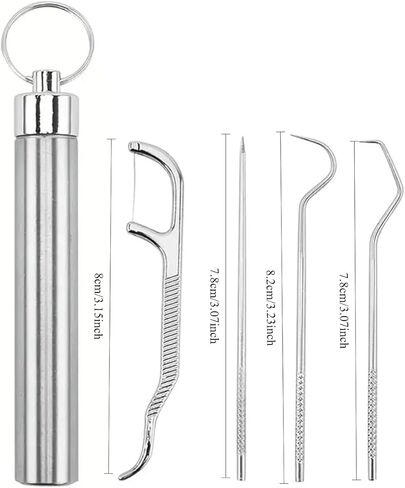Stainless Steel Toothpick Holder Set - Portable Reusable Dental Picks with Keychain for Travel, Camping, Outdoor Oral Hygiene Cleaning Kit in Saudi Arabia