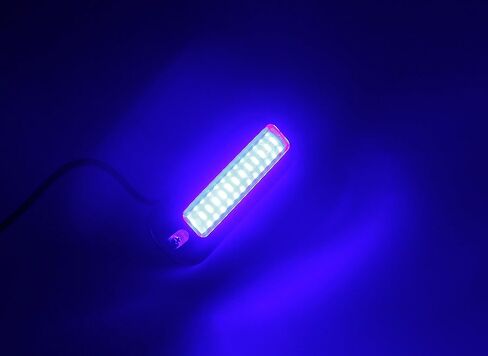 Pactrade Marine Pontoon Boat ضوء LED أزرق تحت الماء S.S 316 Housing 416 LM in Saudi Arabia