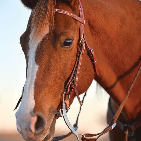 Classic Equine Bit Shoulder Holder Lift Lateral Movement Silver SHBIT in Saudi Arabia