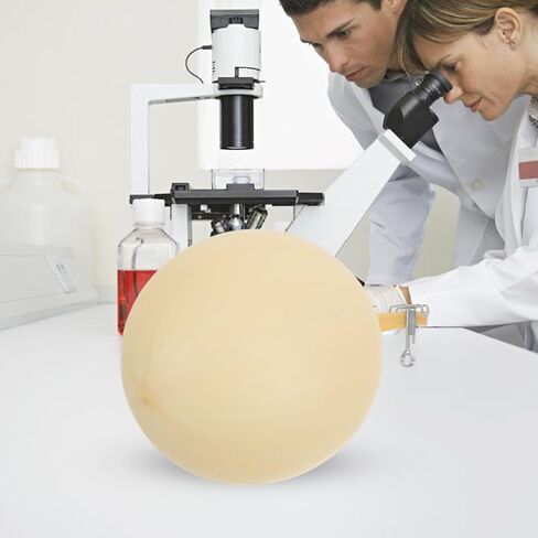 Gatuida Gas Sampler Latex Balloon Internal Bladder Laboratory Gas Collection Bladder 2Pcs 14.17In Length for Scientific Sampling in Saudi Arabia