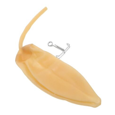 Gatuida Gas Sampler Latex Balloon Internal Bladder Laboratory Gas Collection Bladder 2Pcs 14.17In Length for Scientific Sampling in Saudi Arabia
