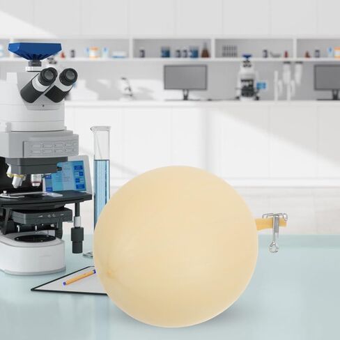 Gatuida Gas Sampler Latex Balloon Internal Bladder Laboratory Gas Collection Bladder 2Pcs 14.17In Length for Scientific Sampling in Saudi Arabia