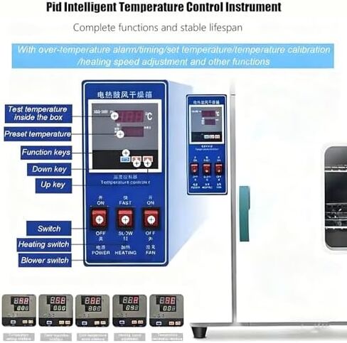Digital Forced Air Convection Drying Oven, 50-300℃, 43L Stainless Steel & Galvanized Inner Liner, Lab Equipment for Accurate Drying & Heating, Ideal for Research & Testing in Saudi Arabia
