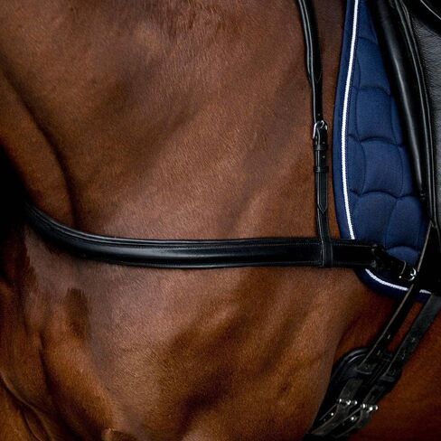 صدرية مستقيمة سوداء كبيرة الحجم in Kuwait