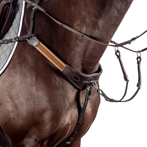 صدرية جسر معدلة - مطابقة لحصان هافانا المرن in Kuwait