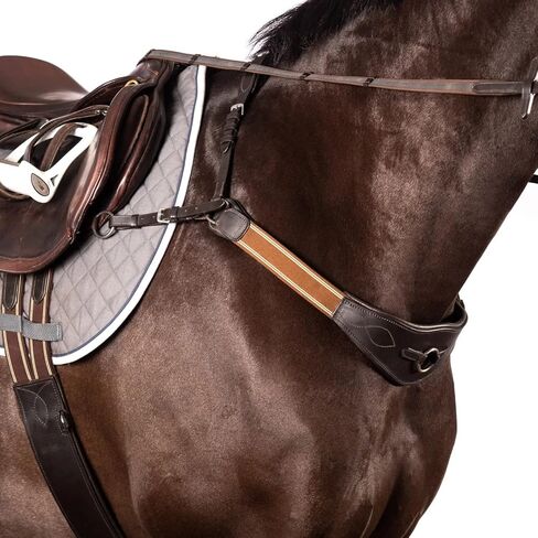 صدرية جسر معدلة - مطابقة لحصان هافانا المرن in Kuwait