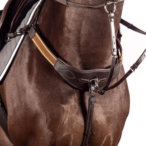 صدرية جسر معدلة - مطابقة لحصان هافانا المرن in Kuwait