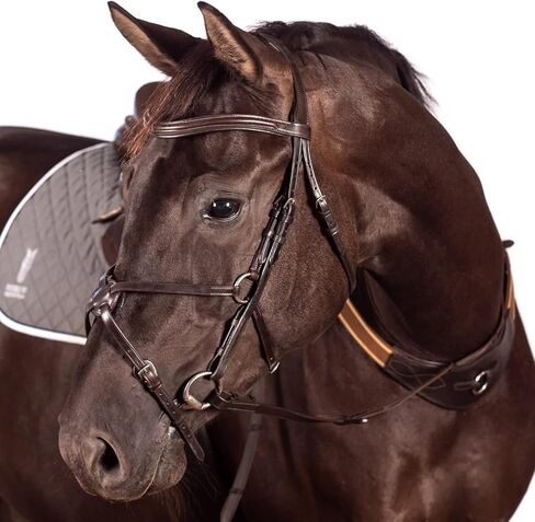 صدرية جسر معدلة - مطابقة لحصان هافانا المرن in Kuwait