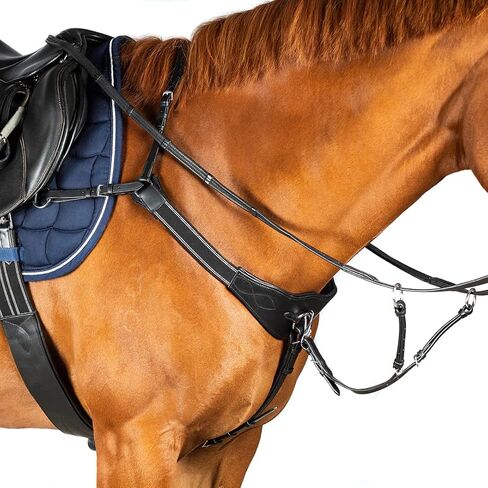 صدرية جسر معدلة - مطابقة لحصان هافانا المرن in Kuwait