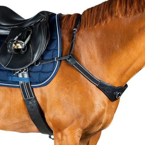 صدرية جسر معدلة - مطابقة لحصان هافانا المرن in Kuwait