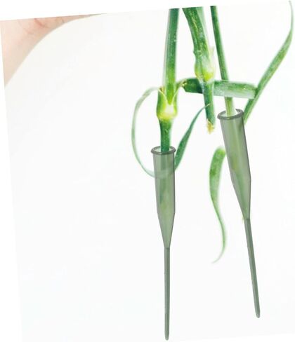 TEHAUX 75pcs Water Tubes for Flowers Floral Arrangement Accessories for Home Decoration Lightweight Compact Horticulture Supply for Fresh Flower Preservation in Saudi Arabia