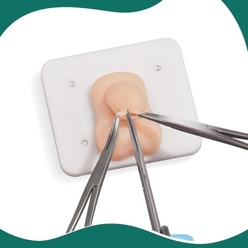Pediatric Circumcision Training Kit – Infant Surgical Simulation Model with Replaceable Skin System for Clinical Skills & Medical Education in Kuwait