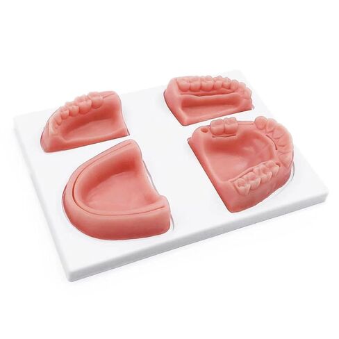 Venipuncture IV Pad，Injection Pad，Silicone IV Practice Pad with 4 Veins Imbedded-Phlebotomy Practice-Blood Draw Practice-IV Injection-Blood Return，Injection Training Pad，Phlebotomy School，Phlebotomist in Saudi Arabia