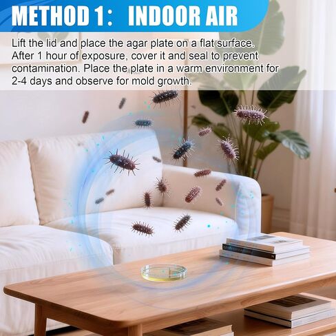 Mold Test Kit for Home,6 Simple Detection Tests,DIY Indoor Air Quality, Surface & HVAC Analysis,Includes Detailed Identification & Health Risk Guide in Kuwait