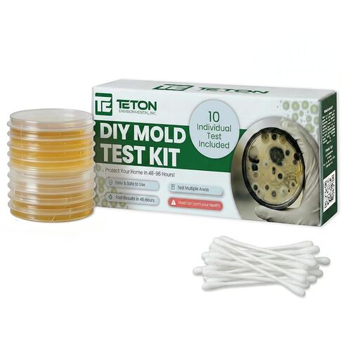 Mold Test Kit – Test 10 Different Areas in Home, Swab Sample and Air Sample, Easy-to-Use Guide, Professional-Grade Testing in Kuwait