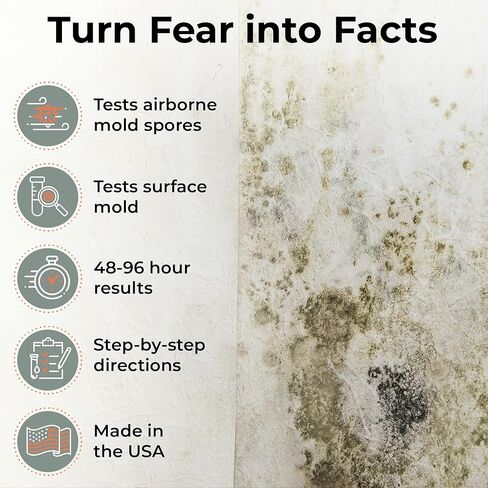 Mold Test Kit – Test 10 Different Areas in Home, Swab Sample and Air Sample, Easy-to-Use Guide, Professional-Grade Testing in Kuwait