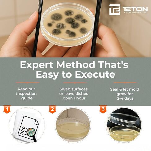 Mold Test Kit – Test 10 Different Areas in Home, Swab Sample and Air Sample, Easy-to-Use Guide, Professional-Grade Testing in Kuwait