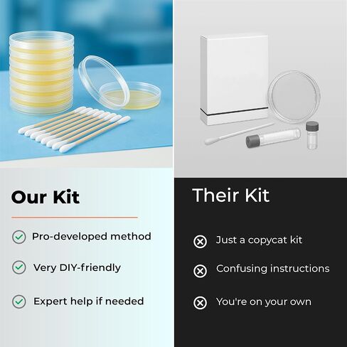 Mold Test Kit – Test 10 Different Areas in Home, Swab Sample and Air Sample, Easy-to-Use Guide, Professional-Grade Testing in Kuwait
