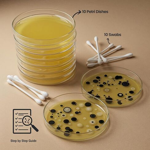 Mold Test Kit – Test 10 Different Areas in Home, Swab Sample and Air Sample, Easy-to-Use Guide, Professional-Grade Testing in Kuwait