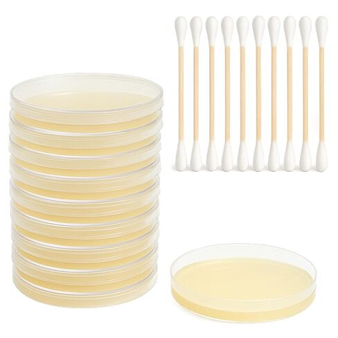 Mold Test Kit – Test 10 Different Areas in Home, Swab Sample and Air Sample, Easy-to-Use Guide, Professional-Grade Testing in Kuwait