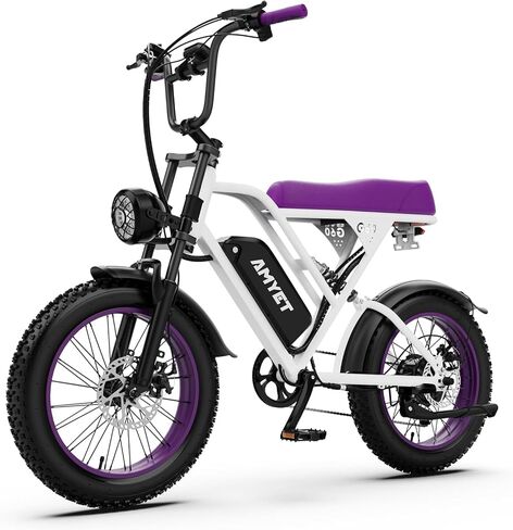 AMYET V9-G60 Electric Bike for Adults, 48V 20Ah(960WH) Ebike with Removable Battery, 20" Fat Tire E Dirt Bike,Dual Shock Absorber, Adults Electric Bike with UL 2849 Certificaed in Saudi Arabia